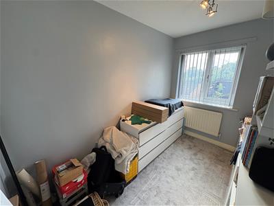 Picture 12